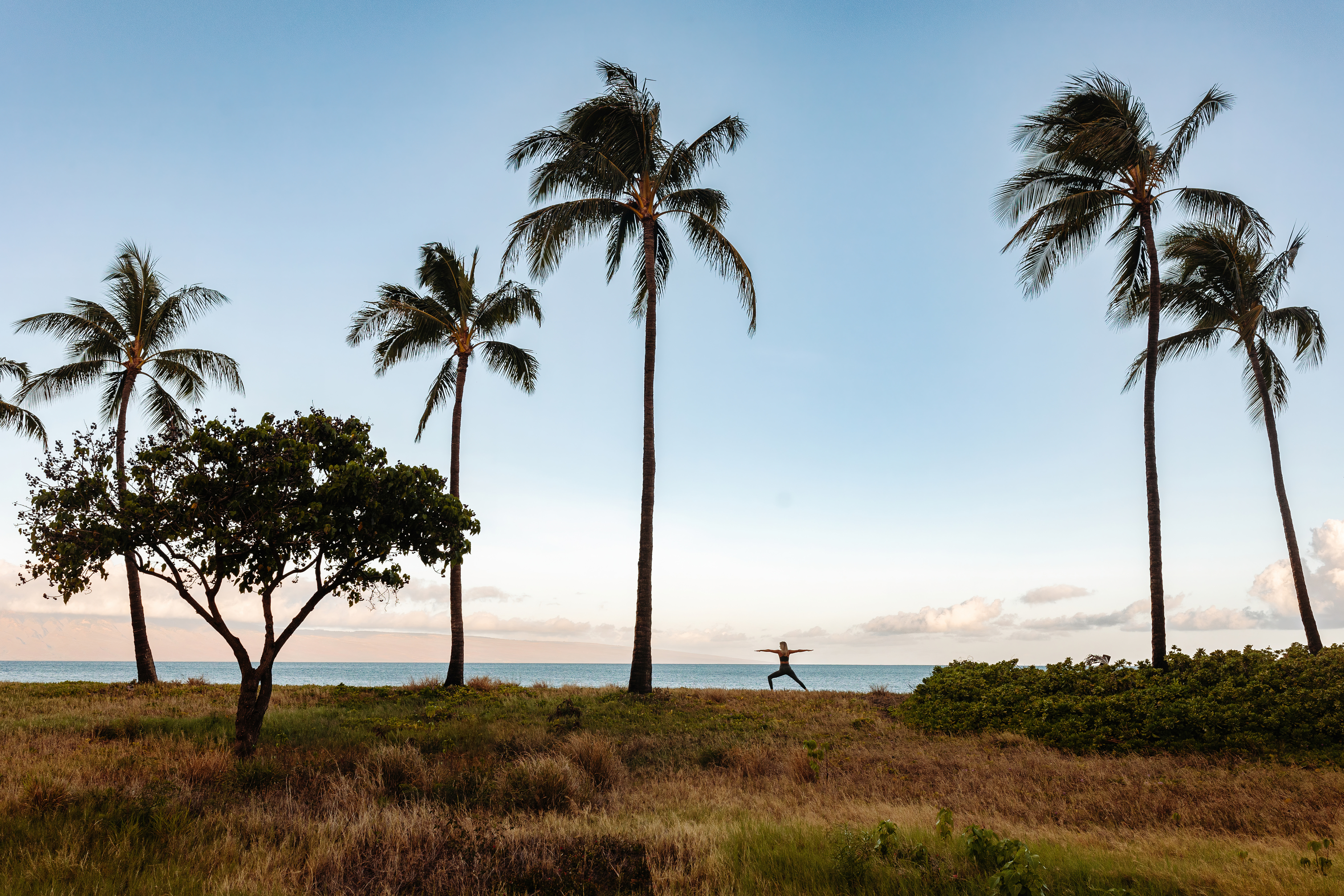 Silhouette of a person doing yoga on a beach at sunrise surrounded by palm trees